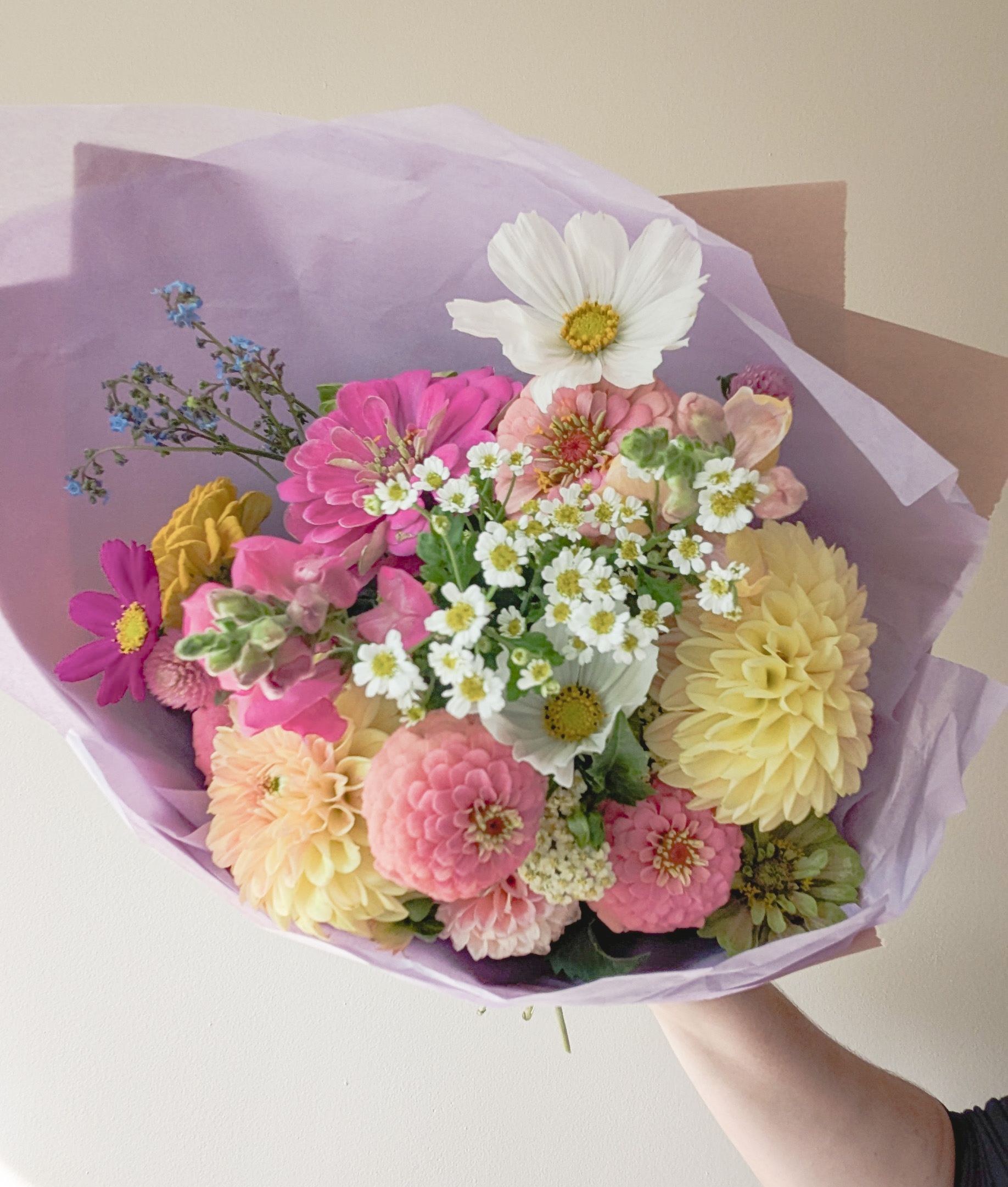 Wrapped bouquet for delivery in St. Louis. Featuring cosmos, dahlias, zinnias and feverfew.