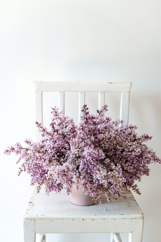 Spring lilacs for St. Louis wedding