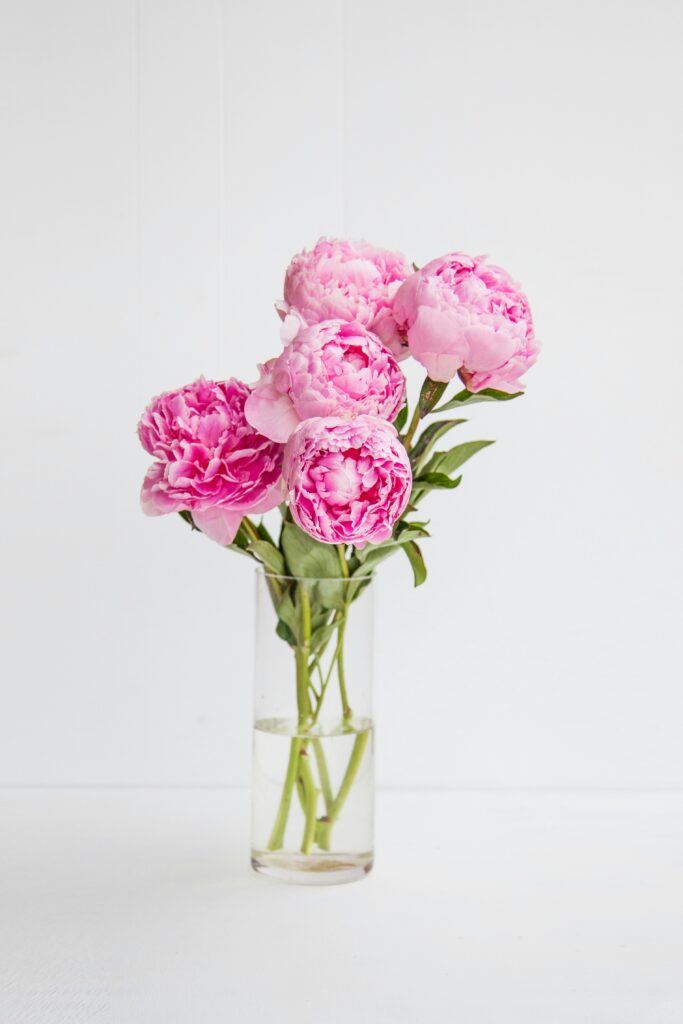 peonies St. Louis spring wedding flowers